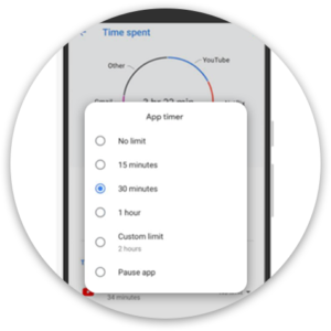Dashboard And App timer